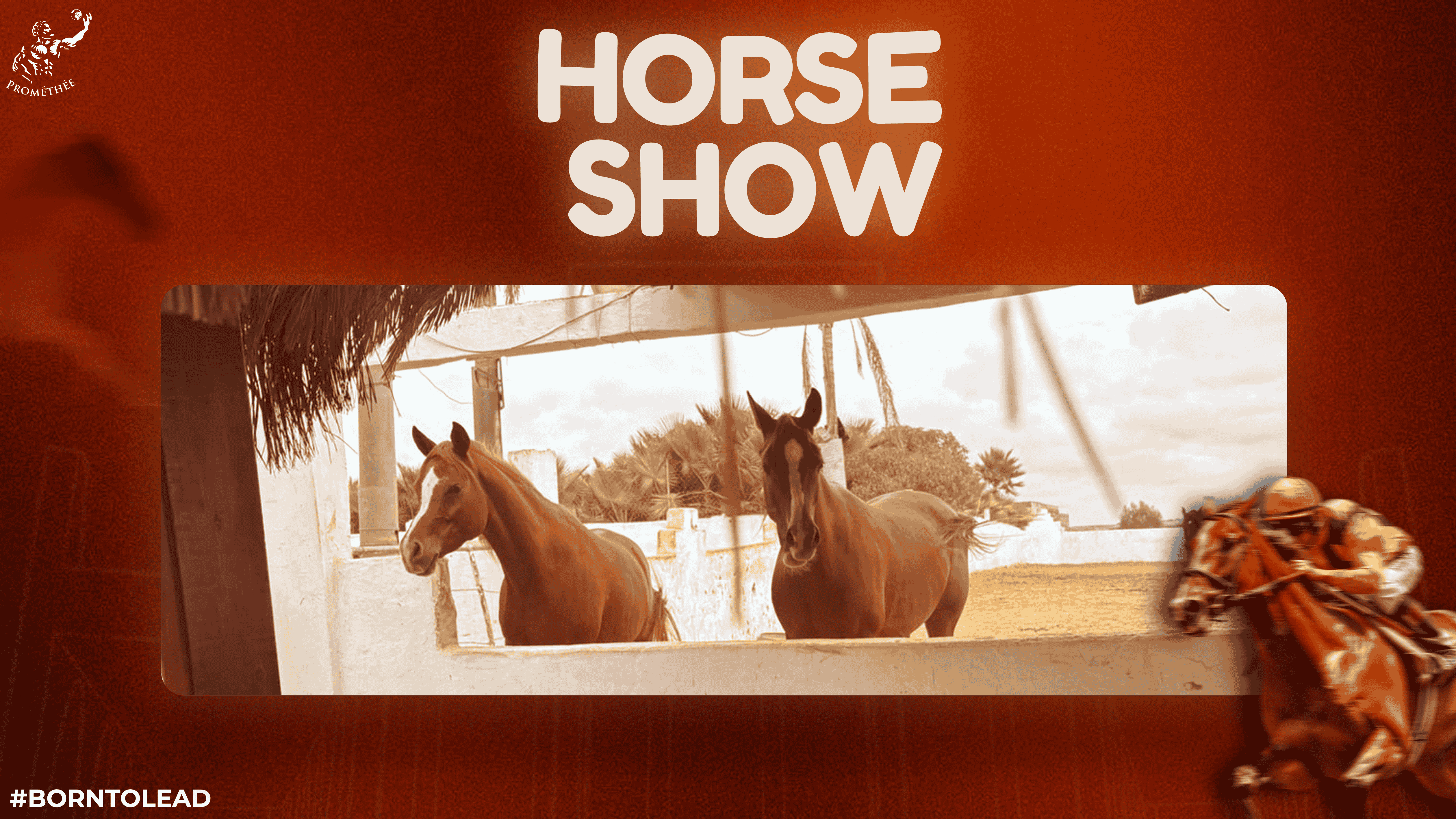 Horse Show